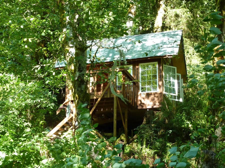 1 tiny cabin woods