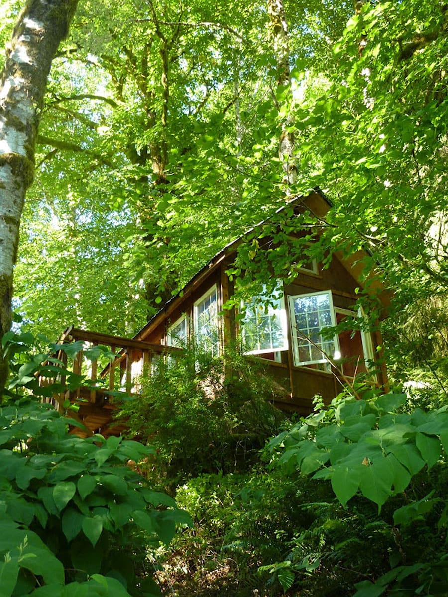 2 tiny cabin sideview