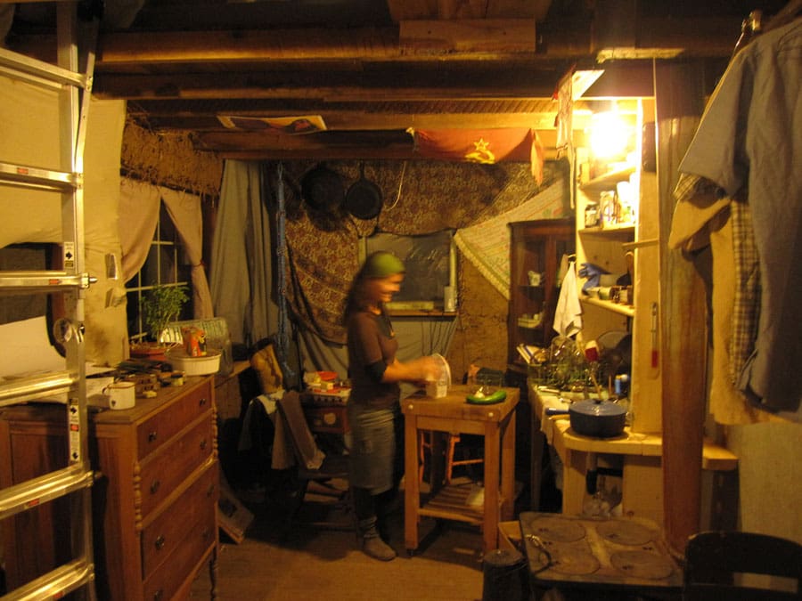 5 dell artemis farm lights