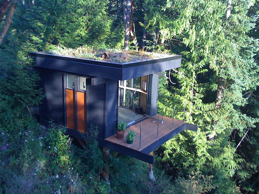 forest edge cabin 1
