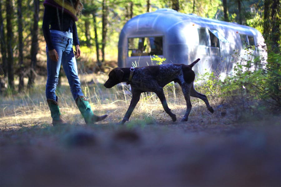 little mountain cabin 3