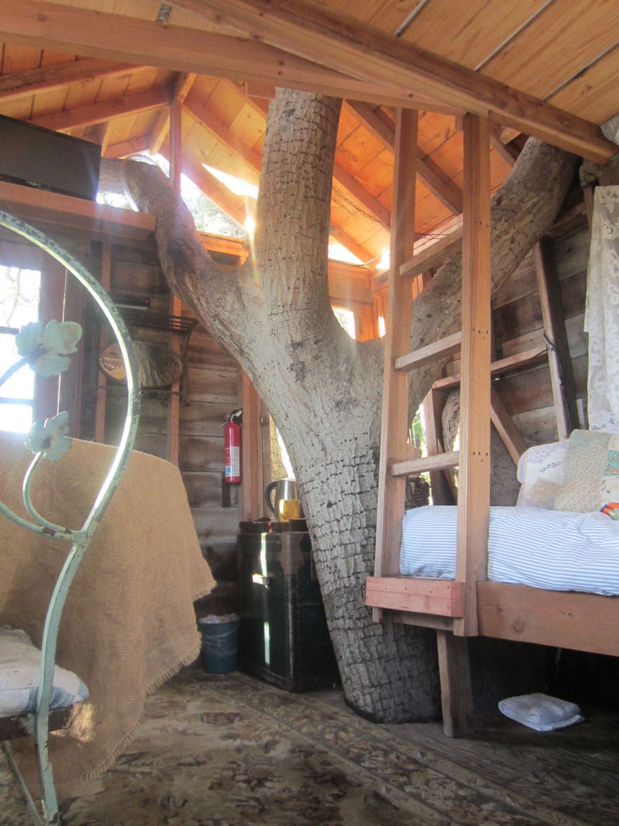 san fran and DIY show pix 155