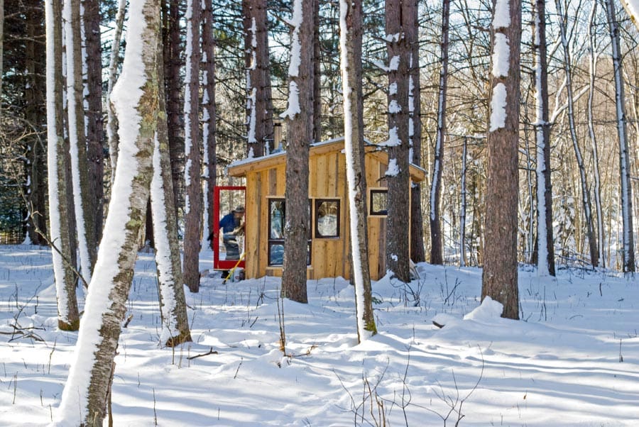 shack in the woods 1