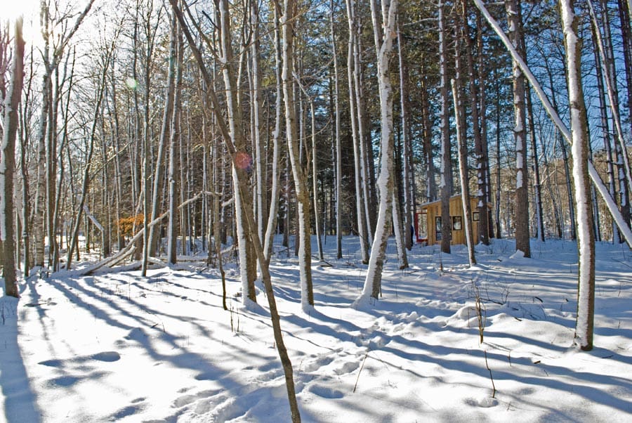 shack in the woods 5