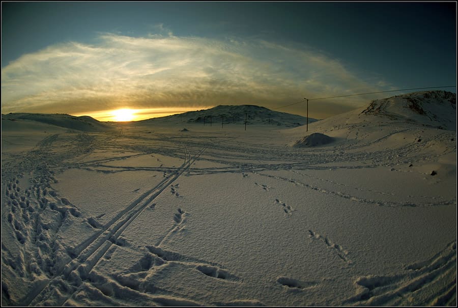 tiny house on skis 2