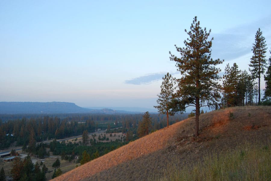 off the grid jenny 3