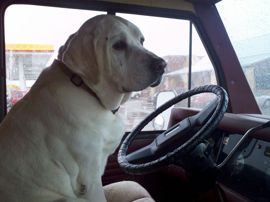 2012 03 10 14 36 18 935