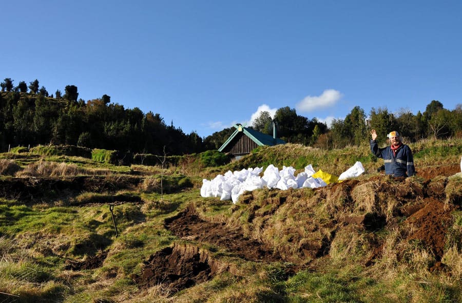 Paulinfutureminiwalapini Paulinfutureminiwalapini