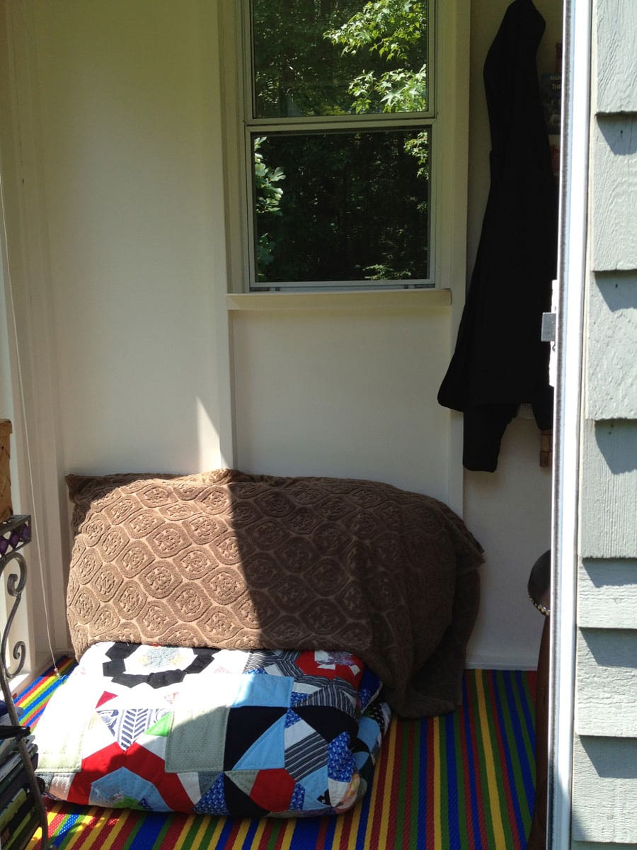 henrietta-2 henrietta 2