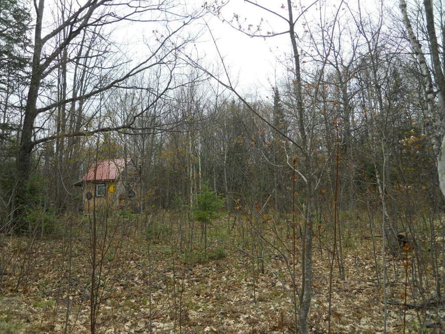 one room tiny house 5