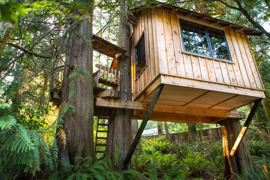 treehouse point 2