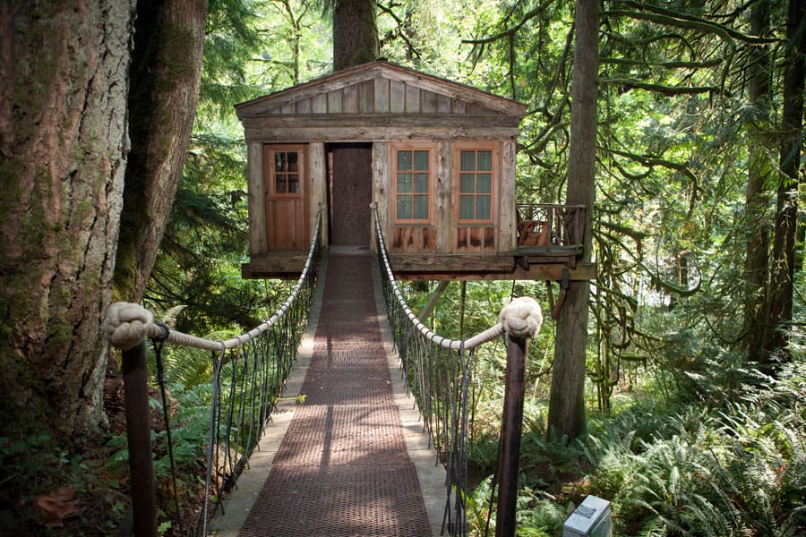 treehouse point 3