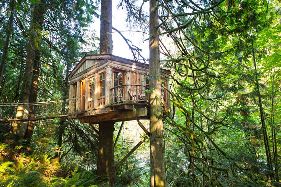 treehouse point 4