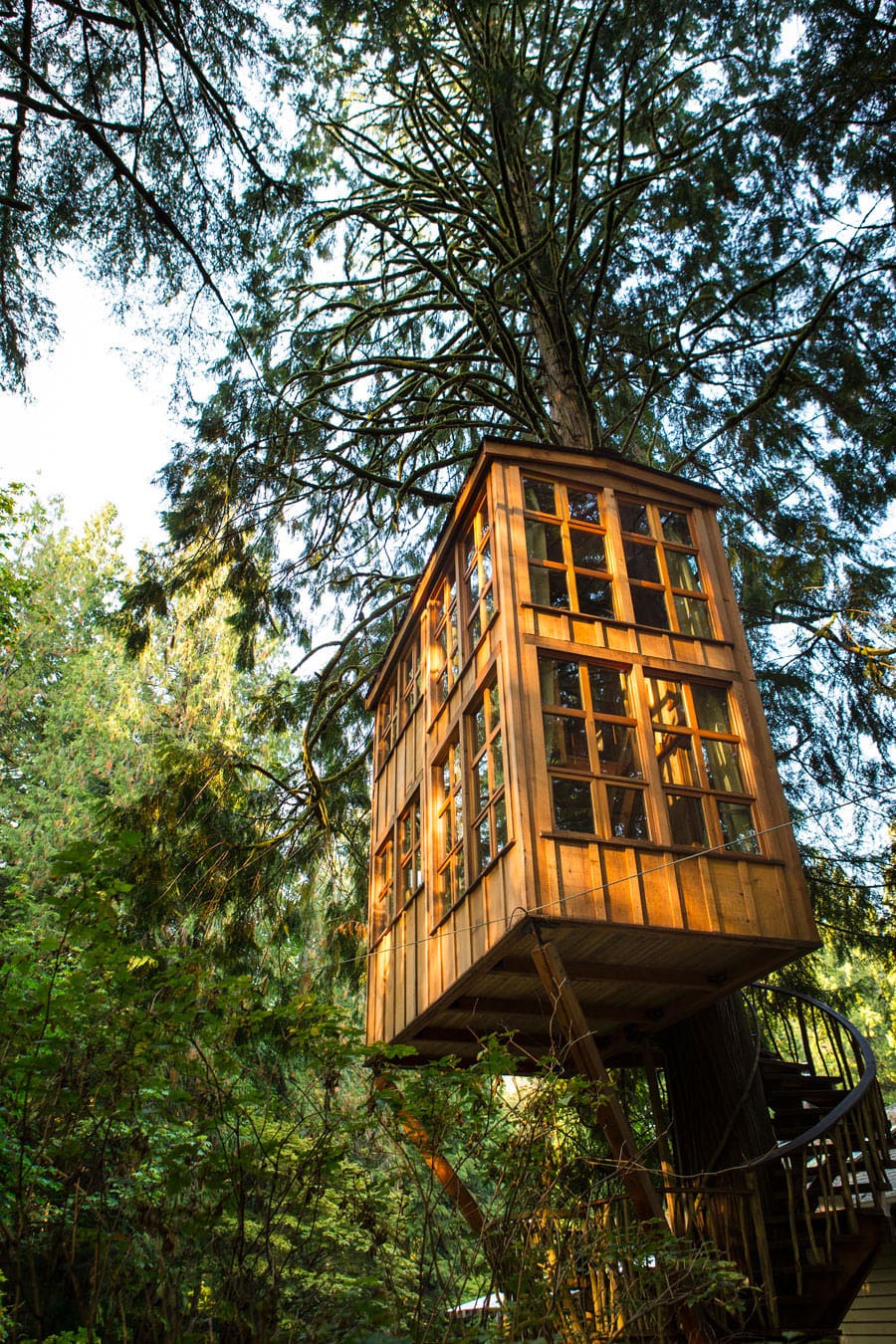 treehouse point 7