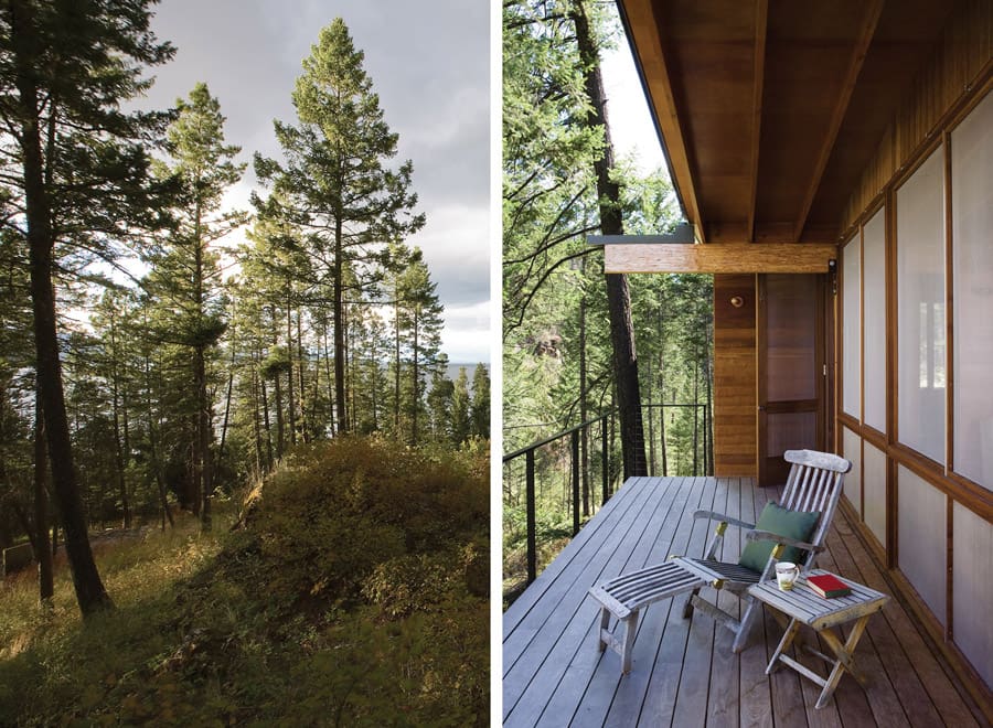 flathead lake cabin 3