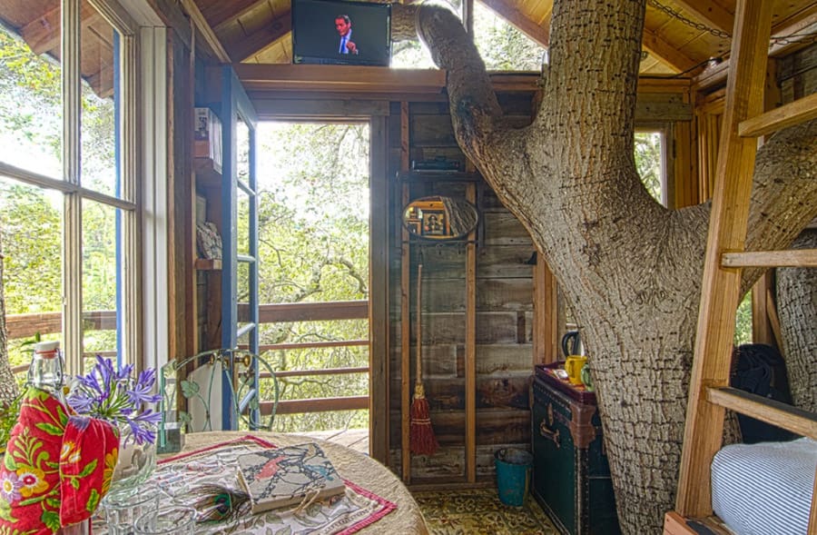 burlingame treehouse 5