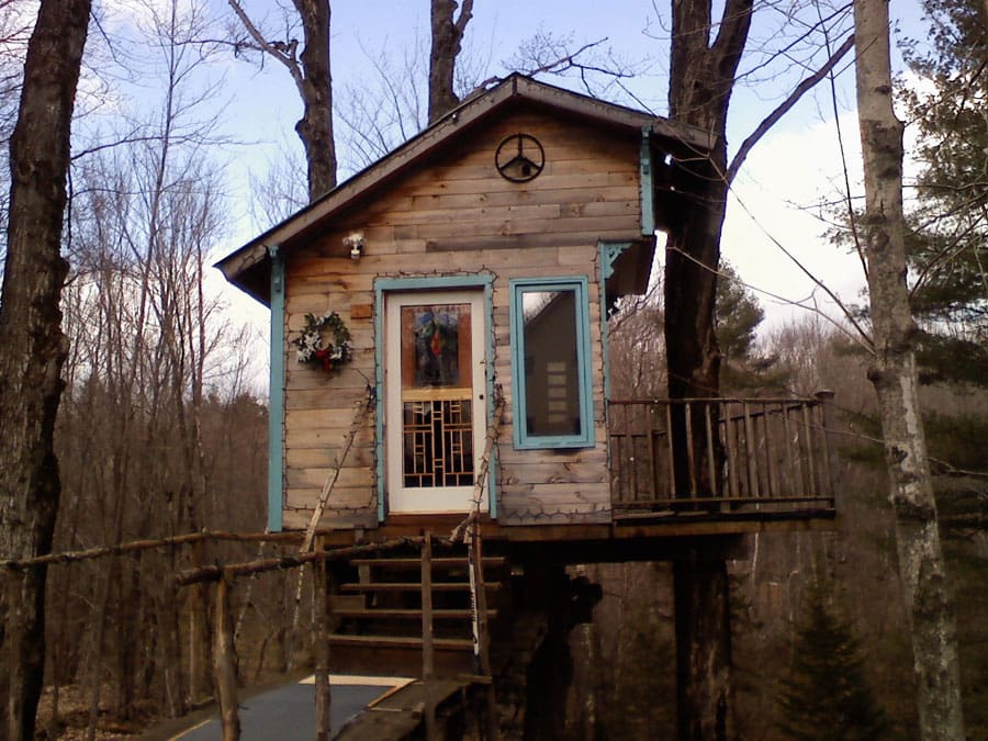 tiny fern forest treehouse 2