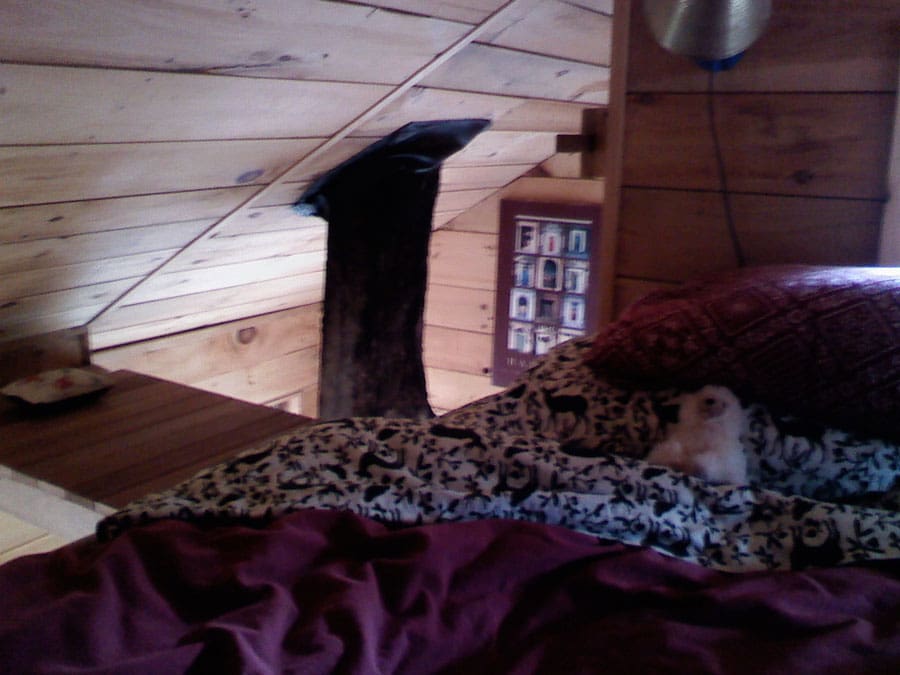 tiny fern forest treehouse 3