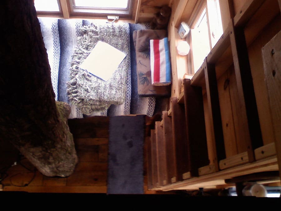 tiny fern forest treehouse 4