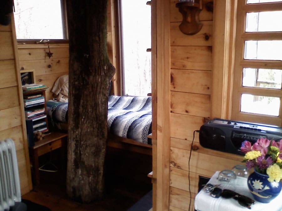 tiny fern forest treehouse 5