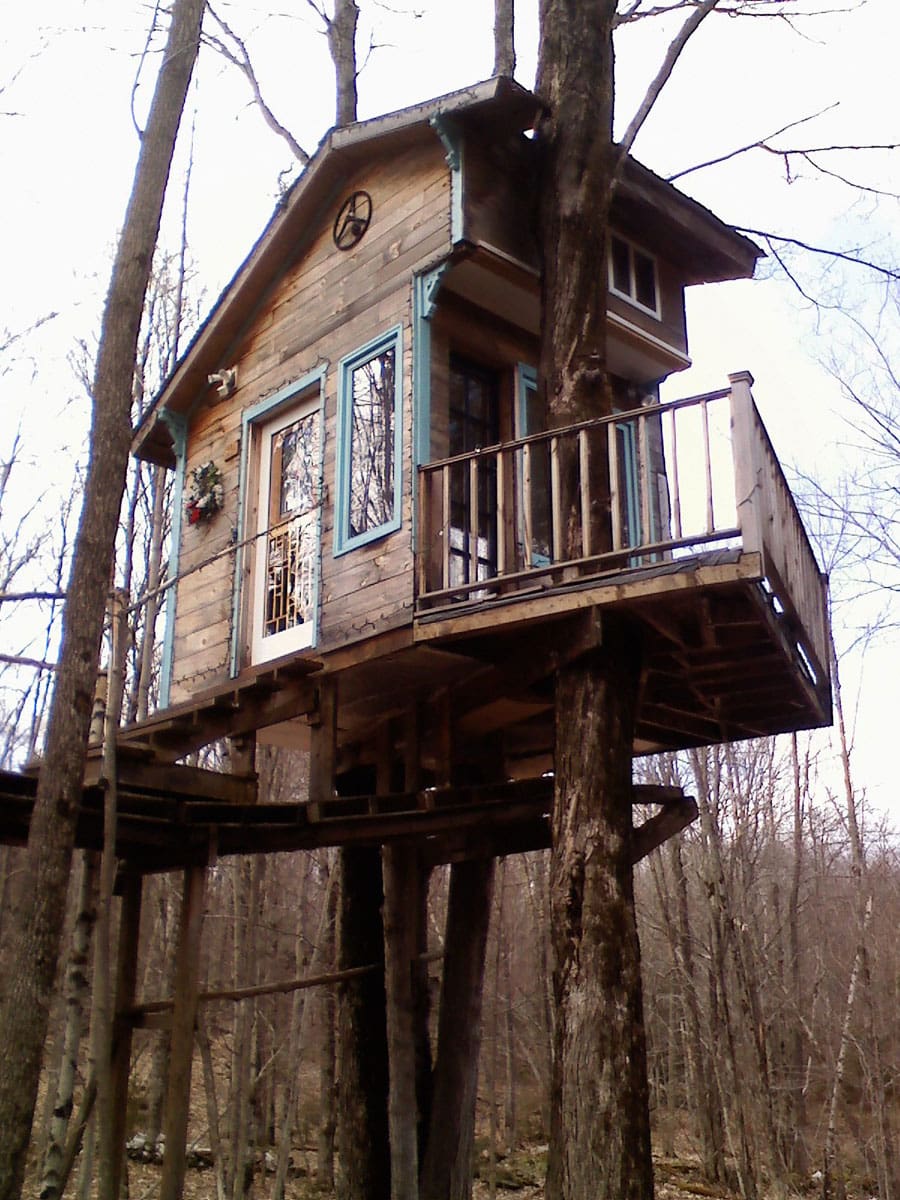tiny fern forest treehouse 6