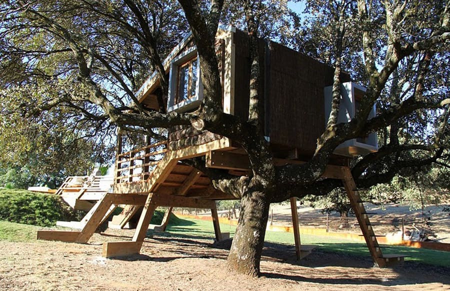 rooted treehouse 1