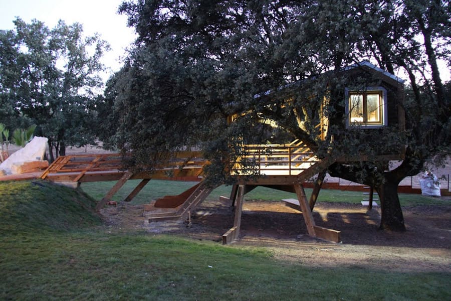 rooted treehouse 5