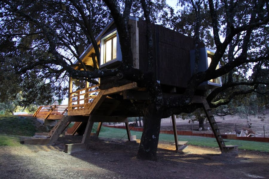 rooted treehouse 6