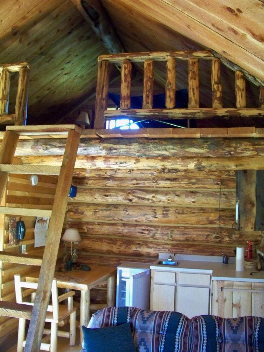 little montana cabin 4