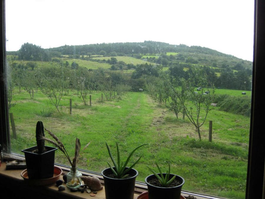 teach nollaig tiny house 8