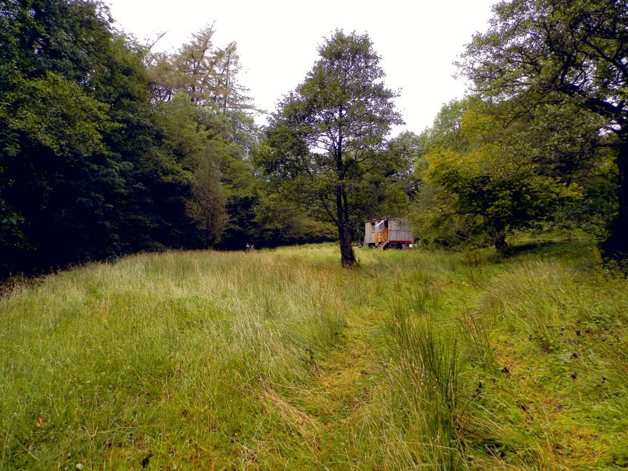 black mountains tiny house 3