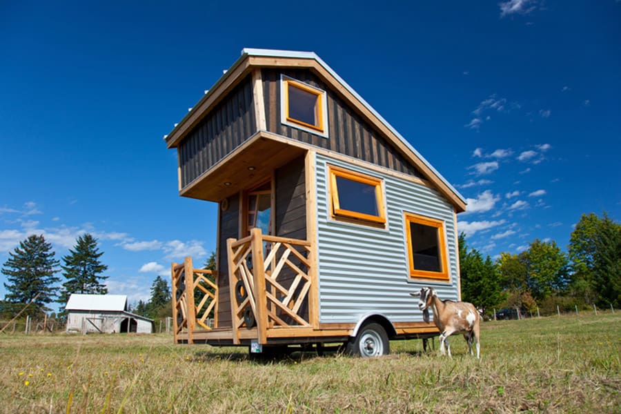 gnomadik micro cott age 1