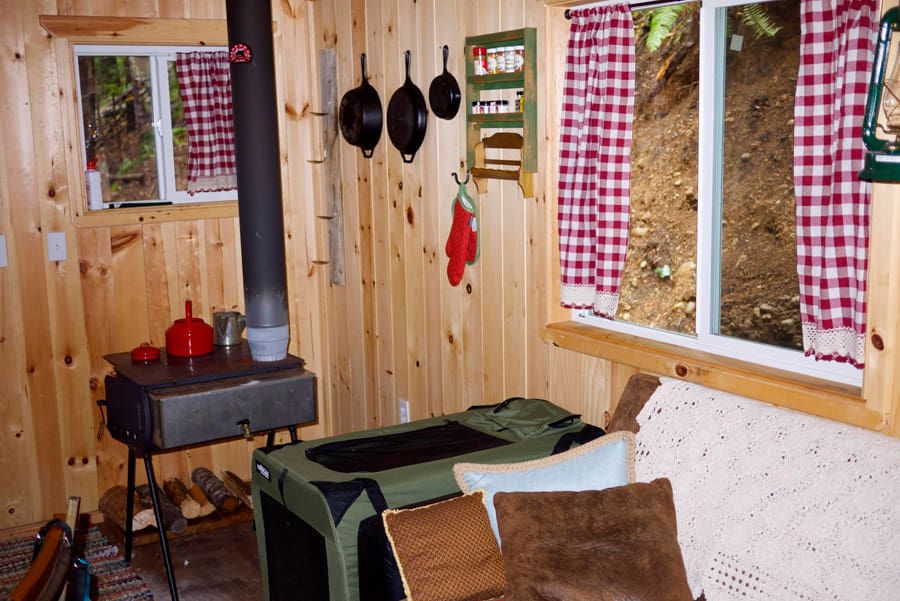 tiny cabin in the woods 2