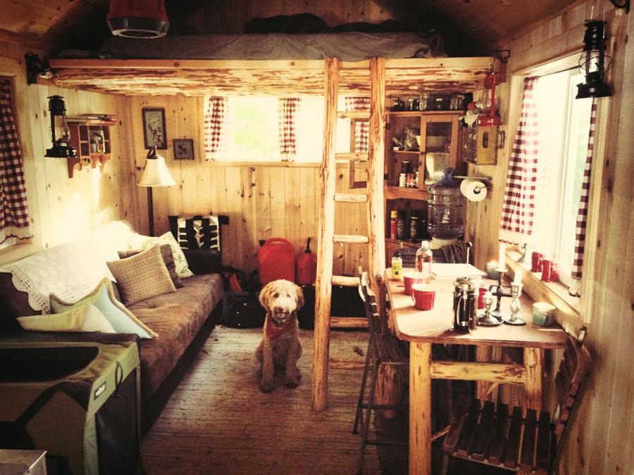 tiny cabin in the woods 4