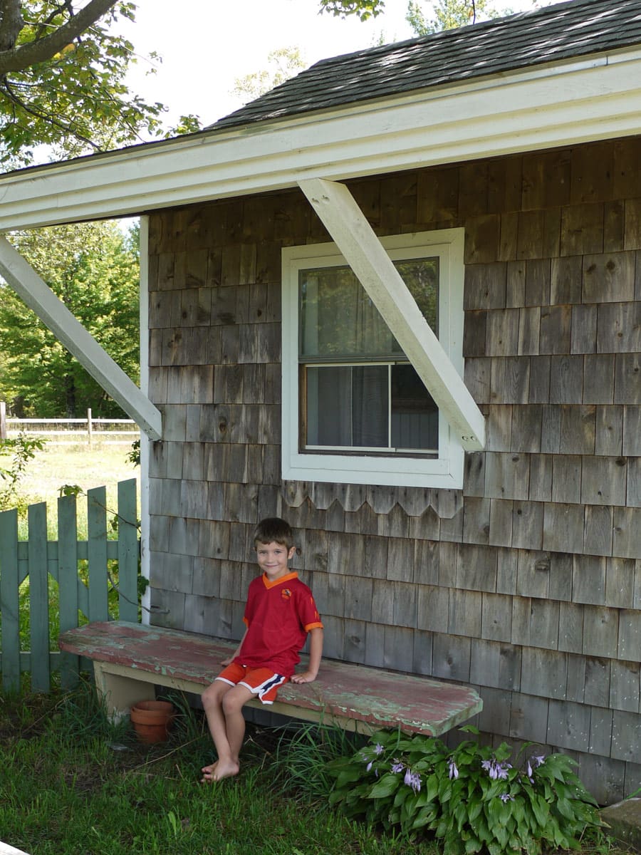 tiny shed turned guest house 8