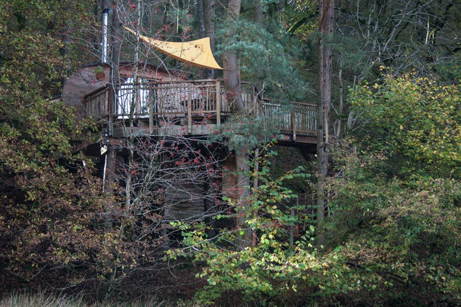 gwdy-hw-treehouse-10 gwdy hw treehouse 10