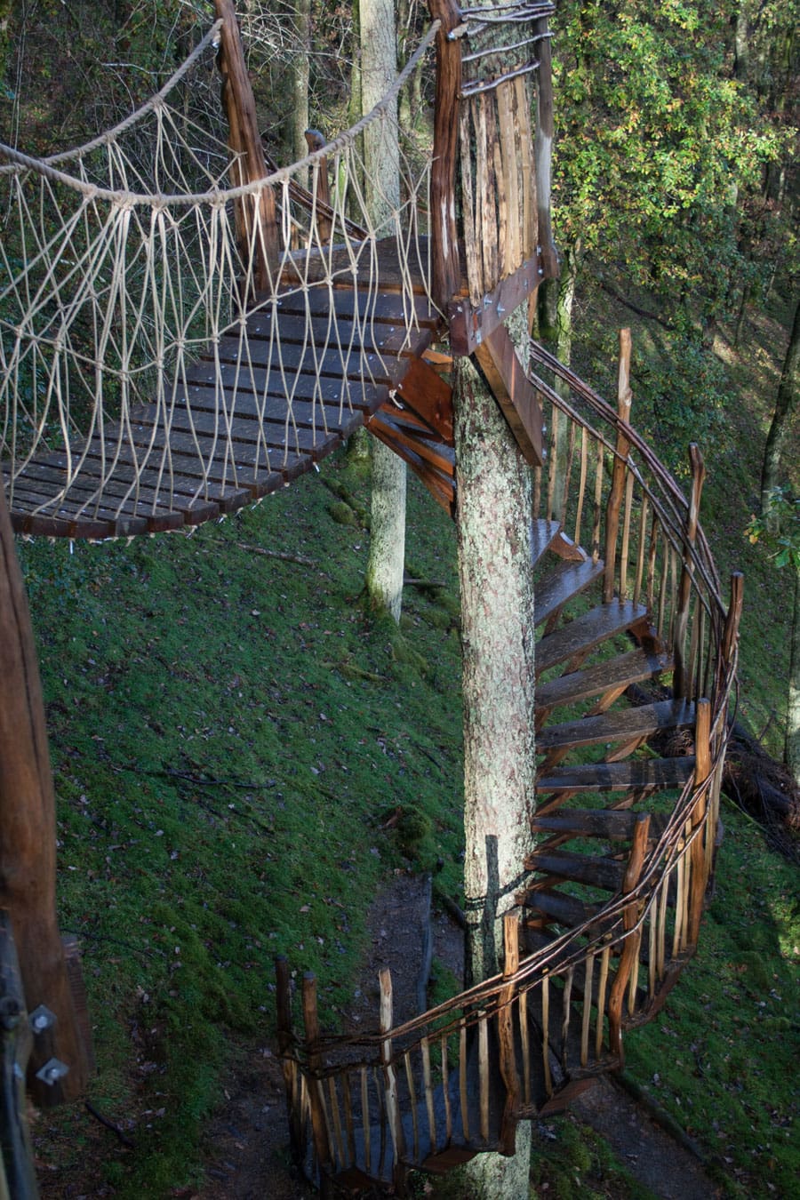 gwdy-hw-treehouse-2 gwdy hw treehouse 2