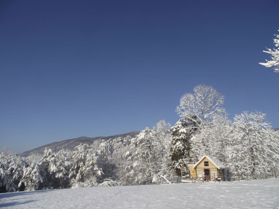 arcadia farm cabin 1