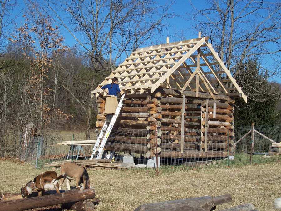 arcadia farm cabin 5
