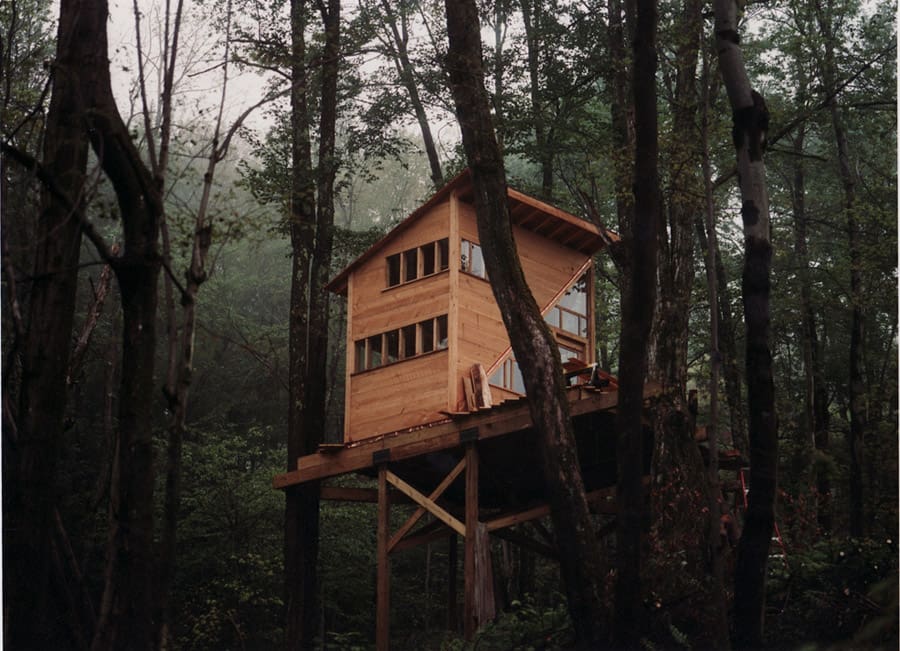 the wee treehouse 1