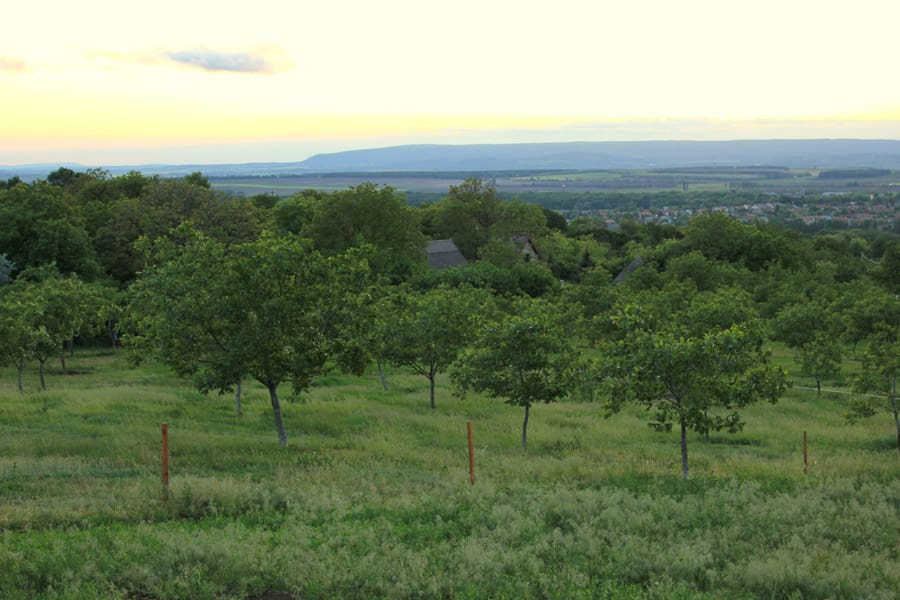 walnut grove tiny house 4