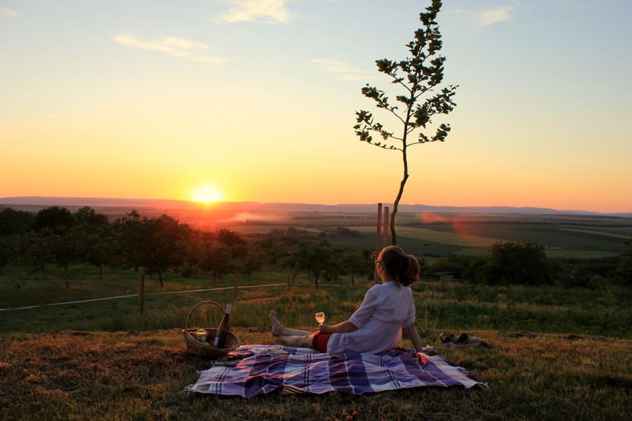 walnut grove tiny house 6