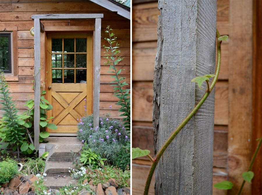 wayward spark cabin 9