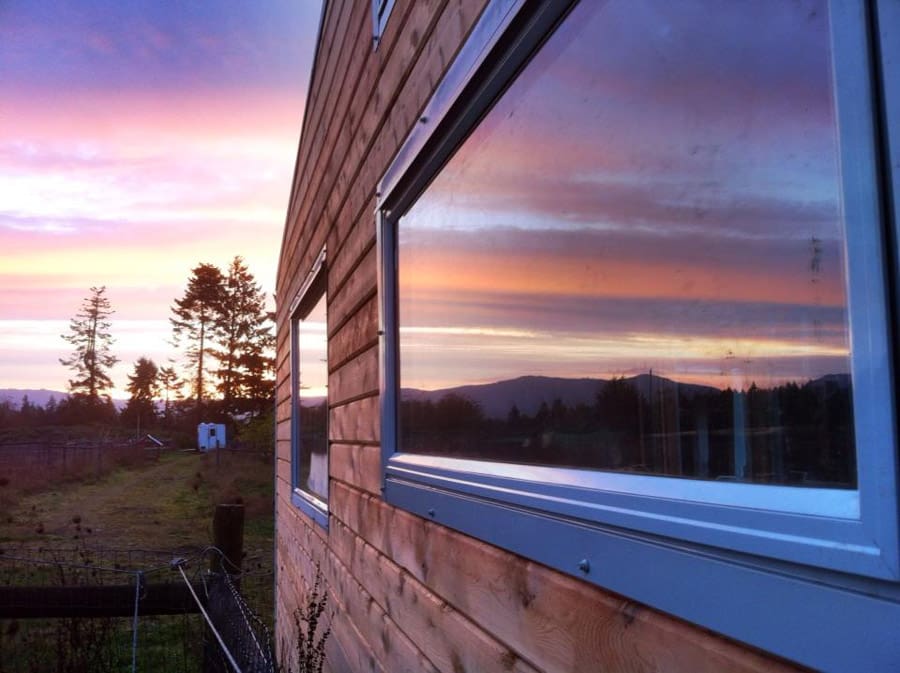 chemical free tiny house 8