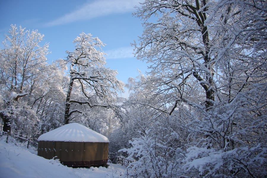 woodland yurt 6