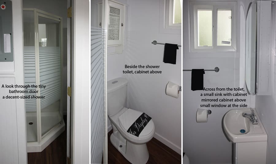 the-eagle-microhome-11 the eagle microhome 11