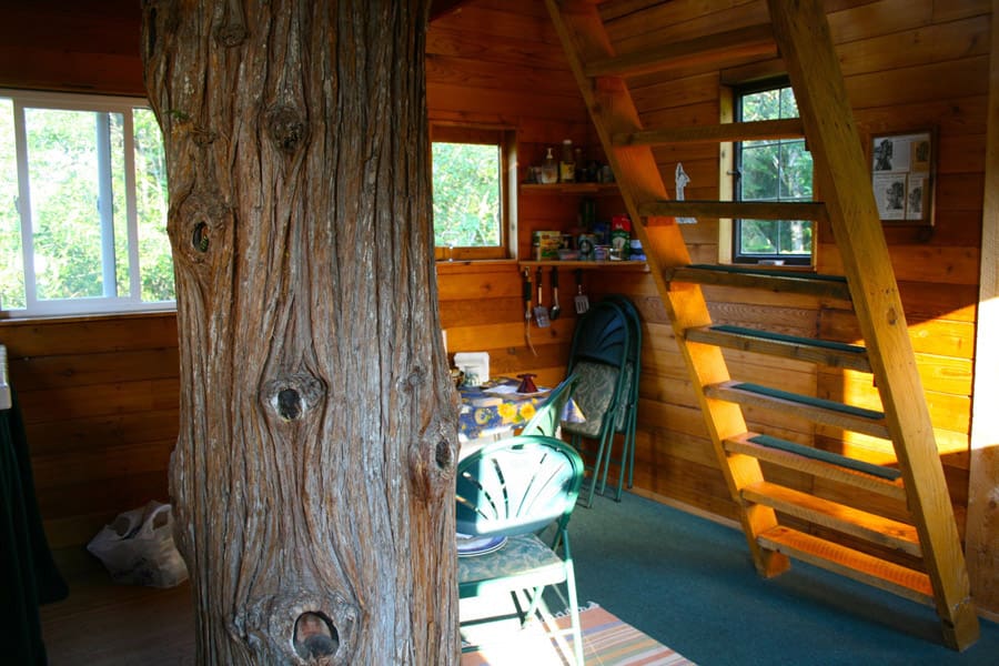 cedar-creek-treehouse-4