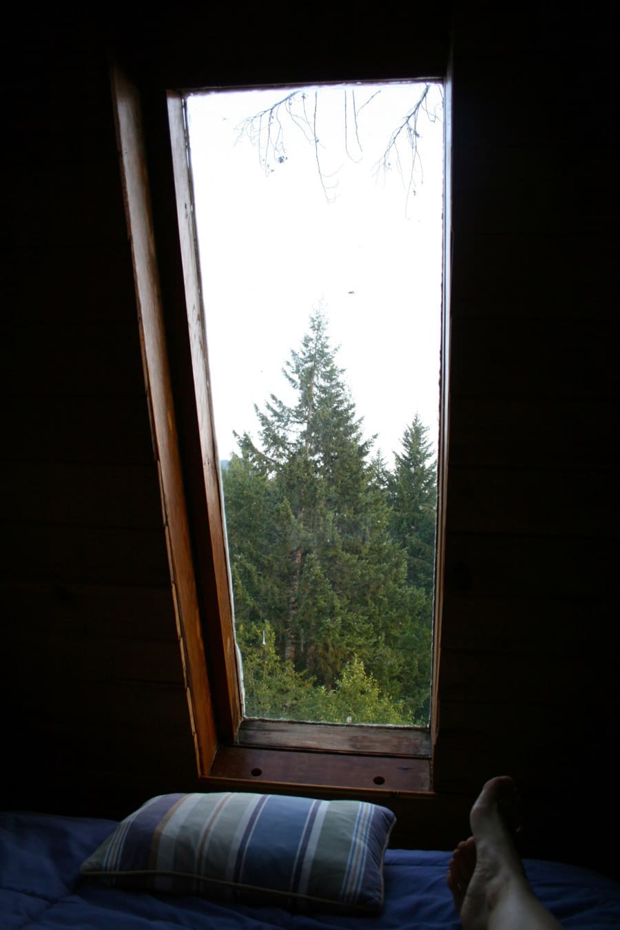 cedar-creek-treehouse-8