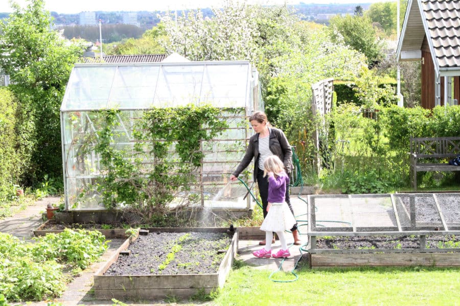garden-allotment-house-7