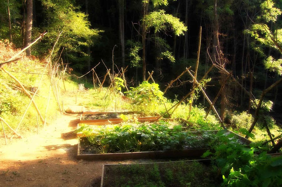 green-mountain-treehouse-11